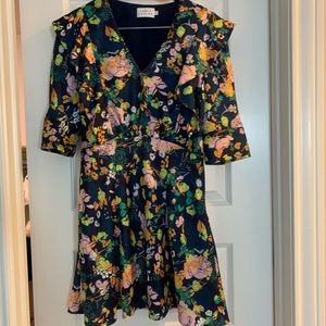 Tanya Taylor Beautiful Floral Dress